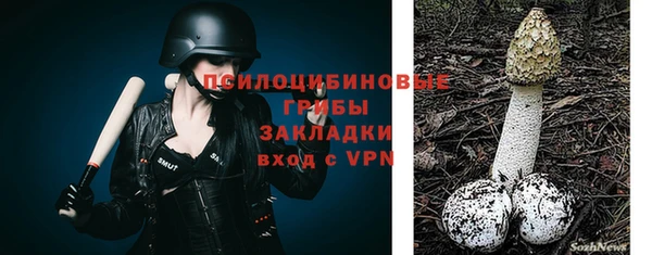 прущие крисы Алексеевка