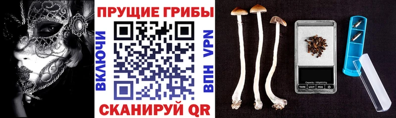 Галлюциногенные грибы MAGIC MUSHROOMS блэк спрут как зайти Лесосибирск